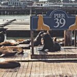 The Best of San Francisco: Private Half-Day Walking Tour - Who Should Consider This Tour?