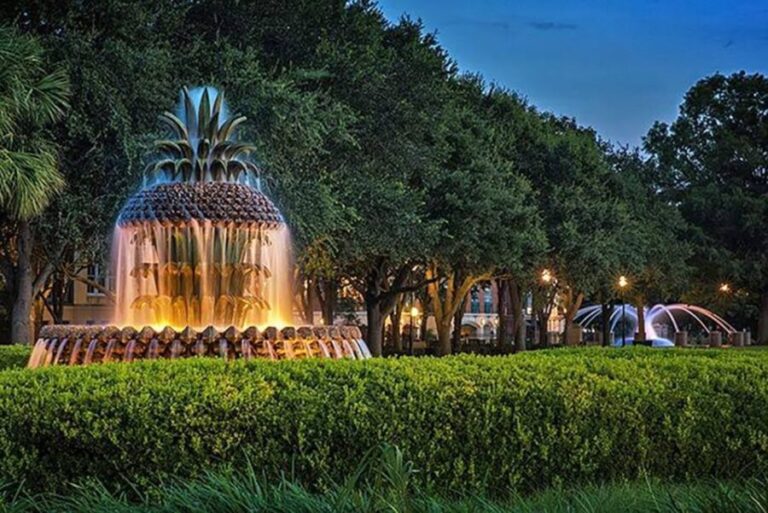 The Best Private History Walking Tour in Charleston! - Practicalities and Tips