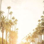 The Best Transfer to Los Angeles International Airport (LAX) - Pricing Breakdown and Value