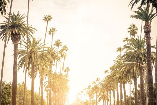 The Best Transfer to Los Angeles International Airport (LAX) - Pricing Breakdown and Value