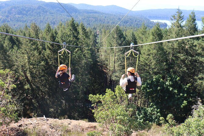 The Big Zip Experience - How About the Scenery?