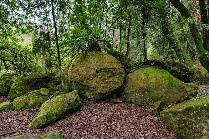 The Boulders Scenic Half Day Float on the Rangitikei River - Final Thoughts