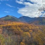 The "Classic" National Park Tour - An Honest Look at the Itinerary