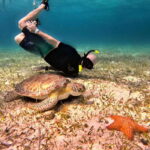 The Cozumel Turtle Sanctuary Snorkel Tour - Final Thoughts: Who Is This Tour For?