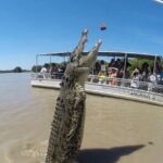 The Croc Bus to the Famous Jumping Crocodile Cruise - Who Should Consider This Tour?