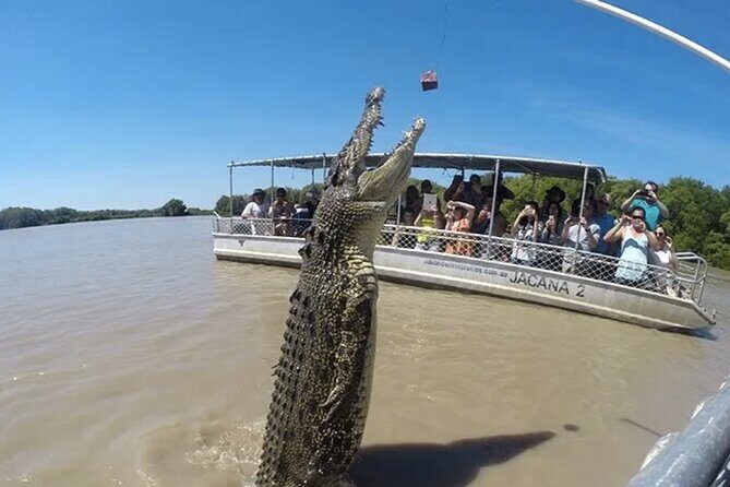 The Croc Bus to the Famous Jumping Crocodile Cruise - Who Should Consider This Tour?