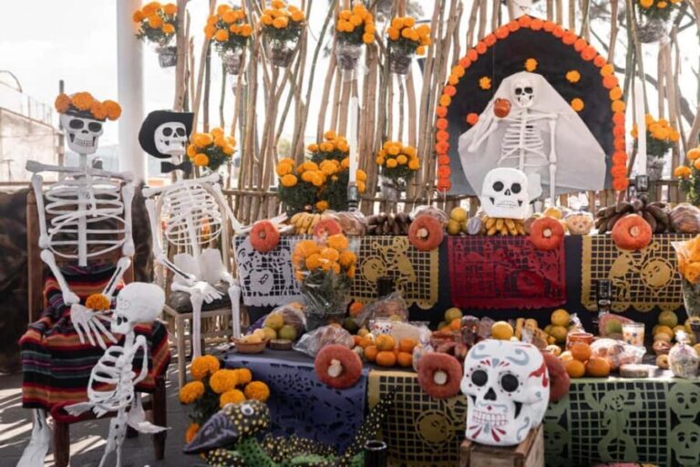 The Day of the Dead Private Tour in Mexico City - What makes this experience worth it?