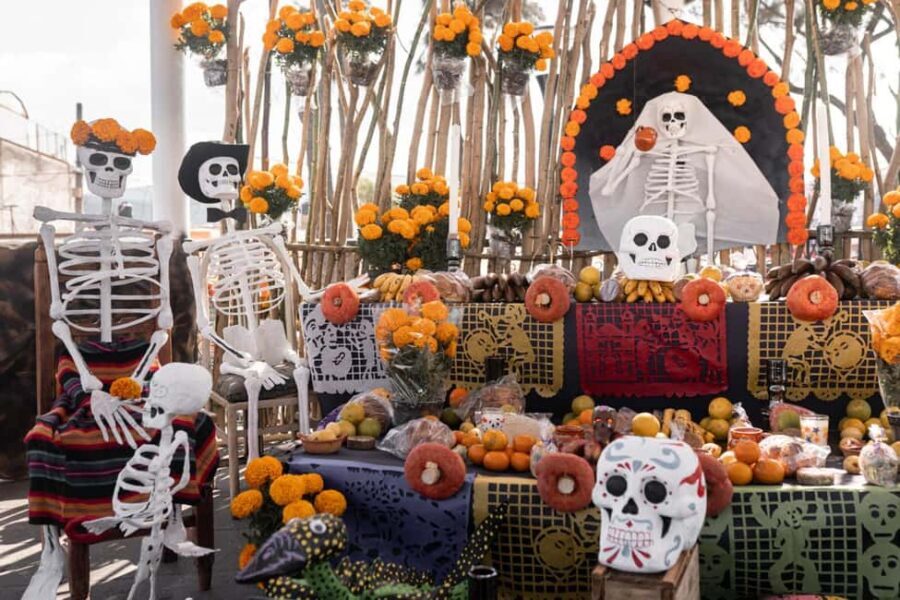 The Day of the Dead Private Tour in Mexico City - What makes this experience worth it?