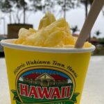 "The Dole Plantation" & "North Shore" Private Limousine VIP Tour! - Real Voices from Travelers