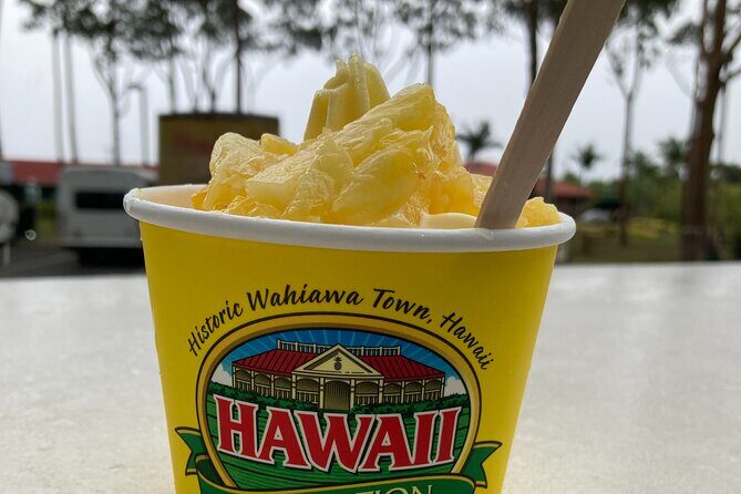 "The Dole Plantation" & "North Shore" Private Limousine VIP Tour! - Real Voices from Travelers