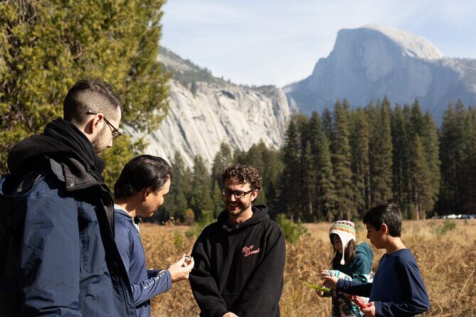 The Evolution of Yosemite 3 Hour Walking Tour - What’s Included and What to Keep in Mind