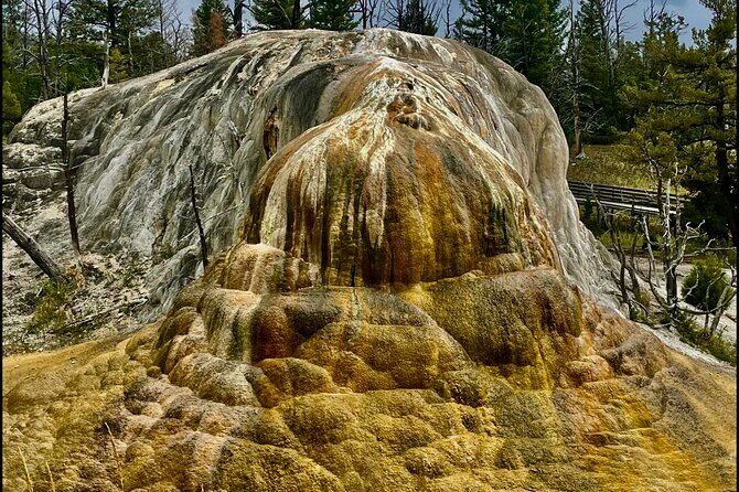 The Grand Yellowstone 3 day private experience from Cody Wyoming - What Does It All Mean for You?