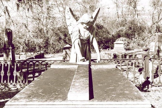 The Hidden Gem Cemetery Tour of Laurel Grove - The Experience: What It Feels Like
