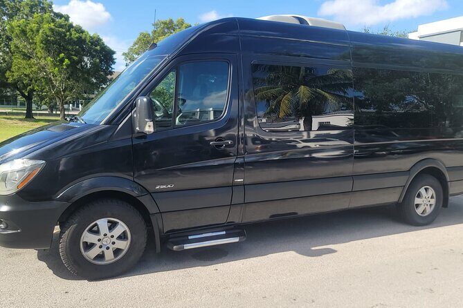 The Life Tours - What to Expect from The Life Tours Service