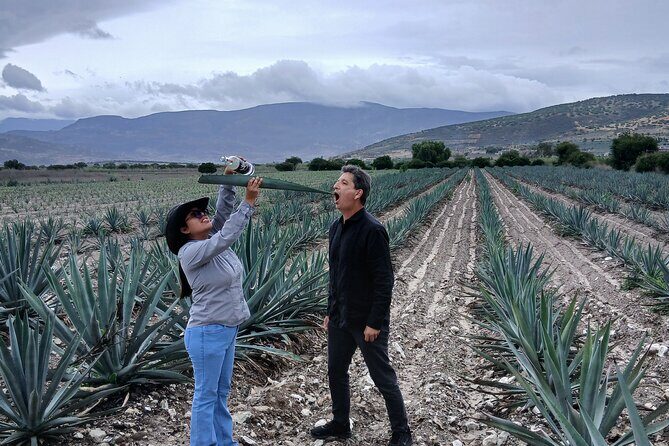 The Mezcal Tour - What Travelers Are Saying