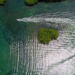 The most EXTREME SPEEDBOAT TOUR in Cancun. Includes Snorkel and Tour Guide - The Realities: Pros and Cons