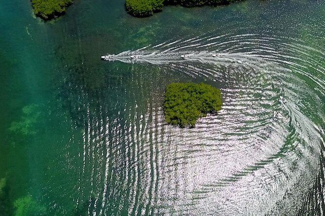 The most EXTREME SPEEDBOAT TOUR in Cancun. Includes Snorkel and Tour Guide - The Realities: Pros and Cons