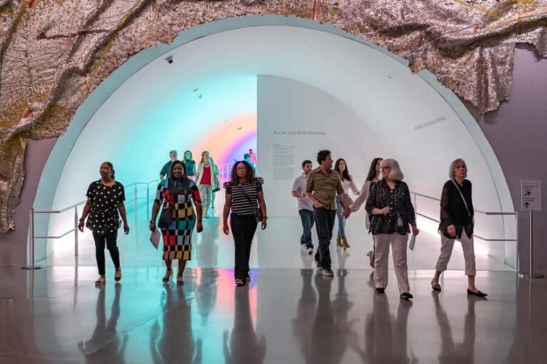 The Museum of Fine Arts, Houston Entry Ticket - What to Expect During Your Visit