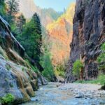 The Narrows: Zion National Park Private Guided Hike - The Benefits of a Private, Guided Experience