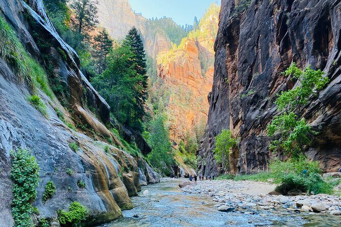 The Narrows: Zion National Park Private Guided Hike - The Benefits of a Private, Guided Experience