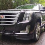 The NON BUS Torch Lake Traverse City Area Wine Tour - What Makes This Experience Stand Out?