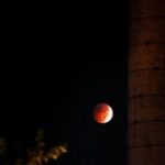 The Original Raleigh Ghost Walk - The Practical Details