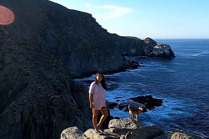 The Ultimate Camel Safari Experience in Los Cabos - The Itinerary in Detail