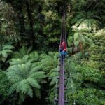 The Ultimate Canopy Zipline Experience Private Tour From Auckland - The Experience on the Ground