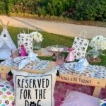 Themed Luxury Picnic - Pricing and Value