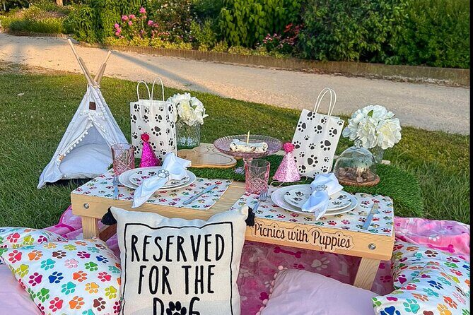 Themed Luxury Picnic - Pricing and Value
