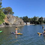 Thetis Lake: Paddle Board Tour with Gear Included - The Scenic Beauty of Thetis Lake