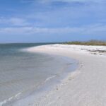 Three Hour Shelling Cruise to Shell Key Preserve from John's Pass - Why Travelers Love This Tour