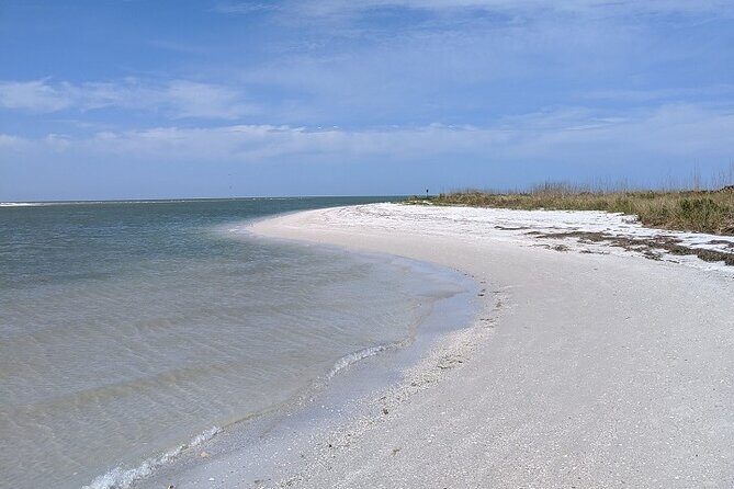 Three Hour Shelling Cruise to Shell Key Preserve from John's Pass - Why Travelers Love This Tour