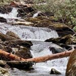 Thundering Streams and Falls of the Smokies Guided Hiking Tour - FAQs