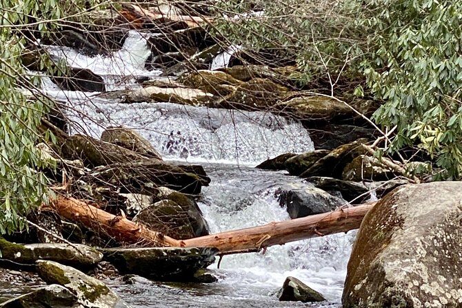 Thundering Streams and Falls of the Smokies Guided Hiking Tour - FAQs