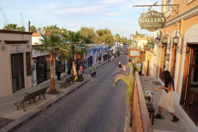 Thursday's Art Walk in San Jose del Cabo - Who Should Consider This Tour?