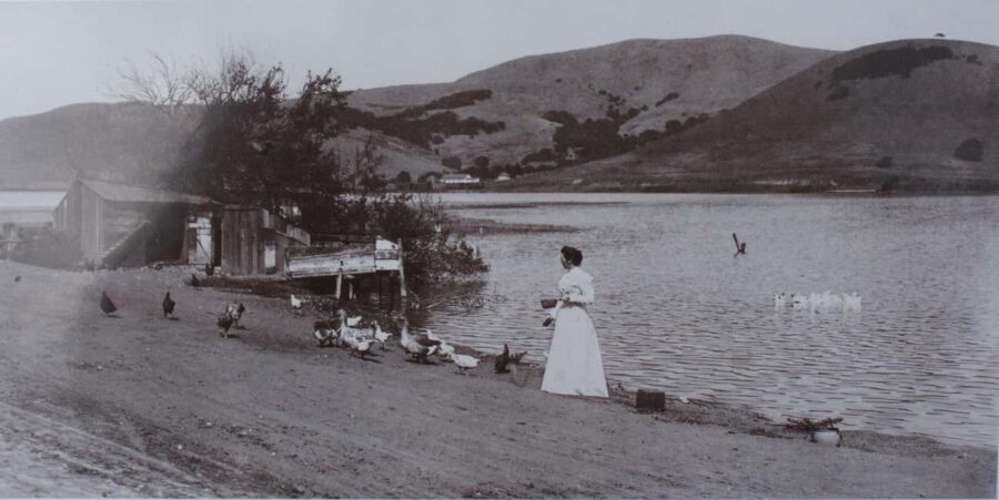 Tiburon: Guided Walking Tour - From the Railroad to Today - Walking Through Notable Tiburon Buildings