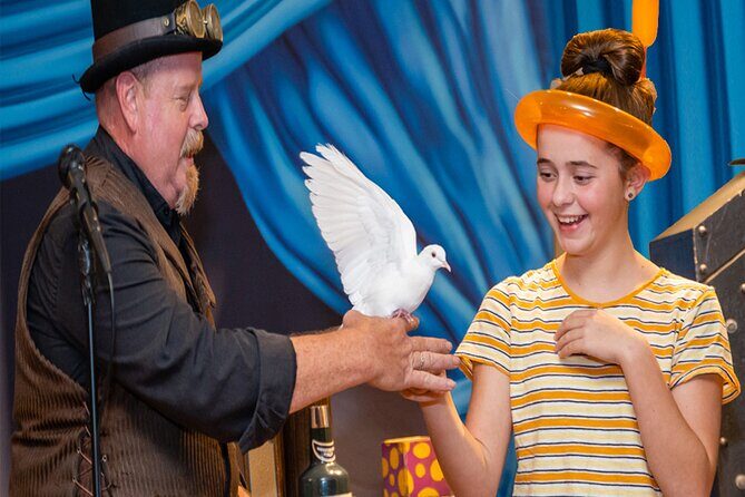 Ticket for Magic Show Theater in Houston - Authentic Guest Perspectives: What People Are Saying