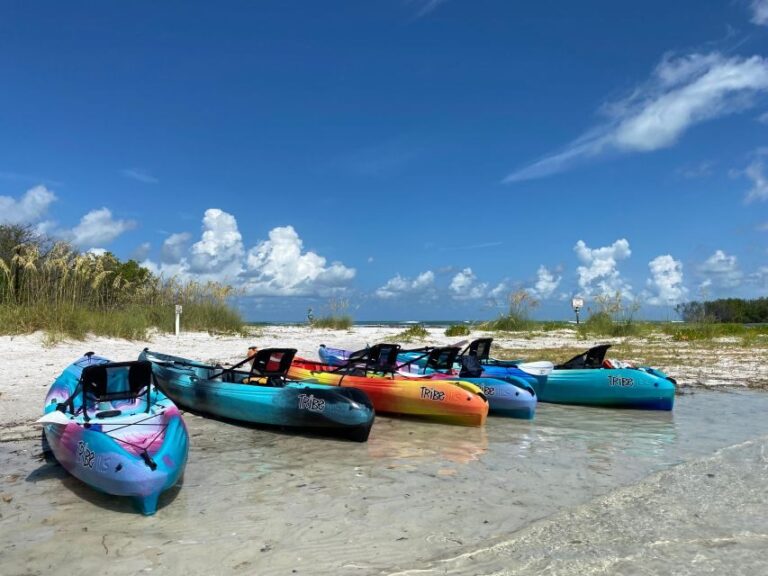 Tierra Verde FL: Coastal Kayaking Tour in Shell Key - Final Thoughts