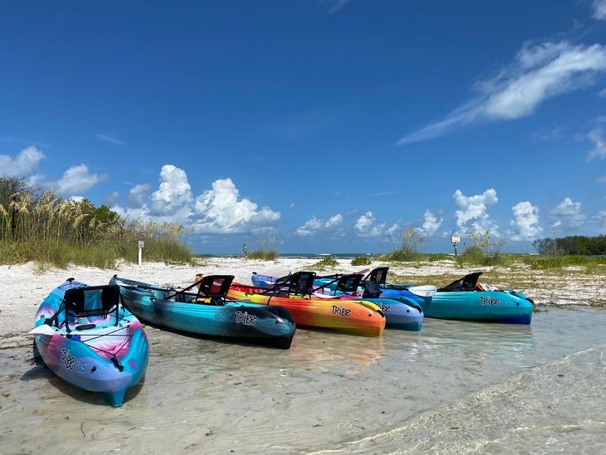 Tierra Verde FL: Coastal Kayaking Tour in Shell Key - Final Thoughts