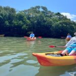 Tierra Verde: Shell Key Mangrove Private Guided 1.5 hr Tour - The itinerary—what you can expect