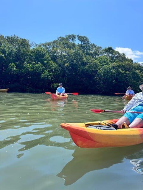 Tierra Verde: Shell Key Mangrove Private Guided 1.5 hr Tour - The itinerary—what you can expect