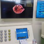 Timepass Auburn Escape Room Adventures Book Karmageddon Now - Is It Worth It? Analyzing the Value