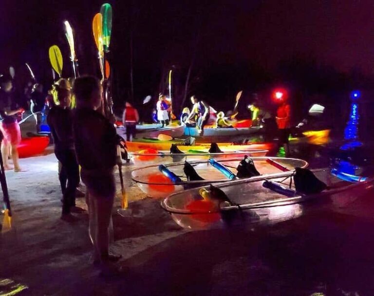 Titusville: Bioluminescent Clear Kayak Tour - What to Expect on the Tour