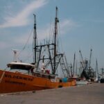 Tlacotalpan World Heritage Site and Alvarado Day Trip - How Does It Value Out?