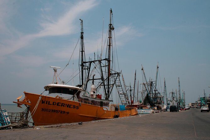 Tlacotalpan World Heritage Site and Alvarado Day Trip - How Does It Value Out?