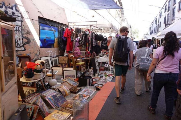 Tlatelolco and La lagunilla Market Mexico City Walking tour - In-Depth Look at the Itinerary