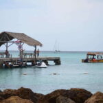 Tobago: Buccoo Reef Glass Bottom Boat Tour - The Experience Breakdown