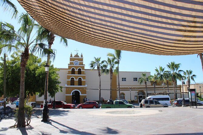 Todos Santos Day Trip from Cabo on Art History and Culinary - Who Should Consider This Tour?