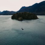 Tofino: Private Boat Tour with Big Tree Trail & Crabbing - The Value and Who It’s Best For
